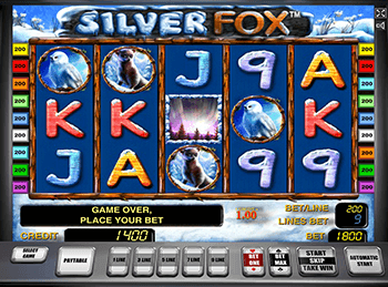 Silver Fox через вход в казино